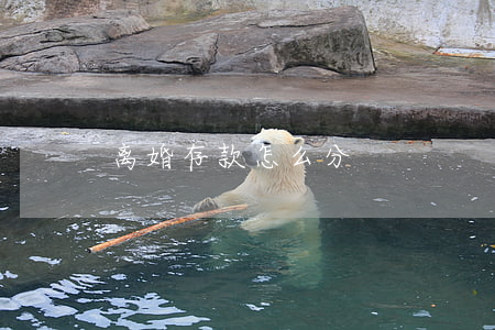 离婚存款怎么分