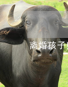 离婚孩子归属问题