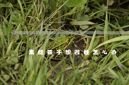 离婚孩子想改姓怎么办