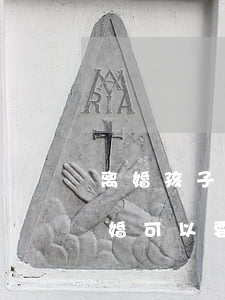 离婚孩子未满2岁还能再婚吗(离婚有两孩再婚可以要几孩)