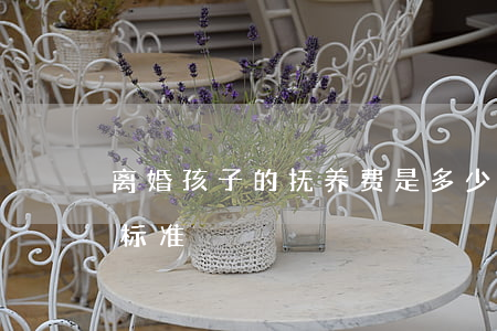 离婚孩子的抚养费是多少(离婚小孩抚养费用标准)