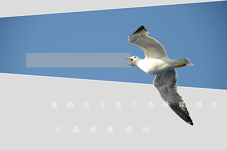 离婚孩子自己选择跟谁生活(离婚后孩子有权利选择跟谁吗)