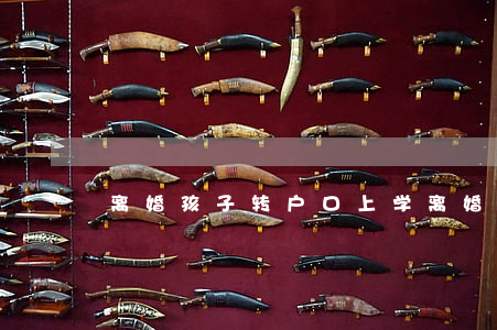 离婚孩子转户口上学(离婚孩子转户口上学)