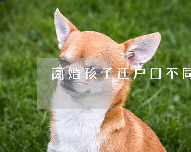 离婚孩子迁户口不同意怎么办