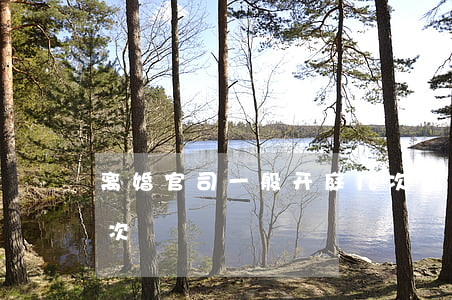 离婚官司一般开庭几次(离婚官司一般开庭几次)