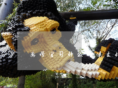 离婚官司什么时候支付律师费