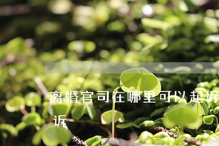 离婚官司在哪里可以起诉(离婚诉讼在哪里起诉)