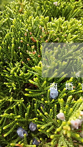离婚官司律师费(离婚官司律师费怎么算)