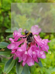 离婚官司怎么打