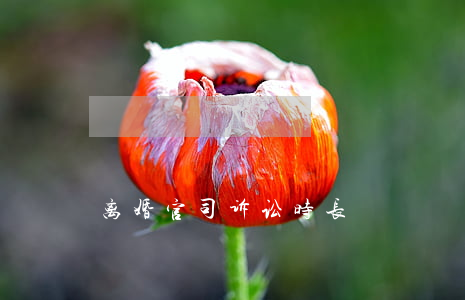 离婚官司诉讼时长