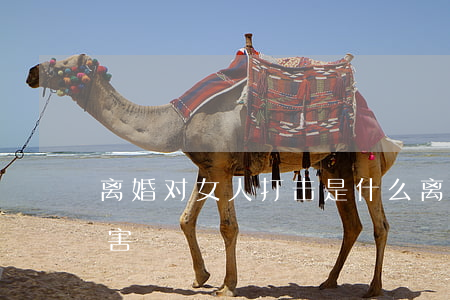 离婚对女人打击是什么(离婚给女人带来的伤害)