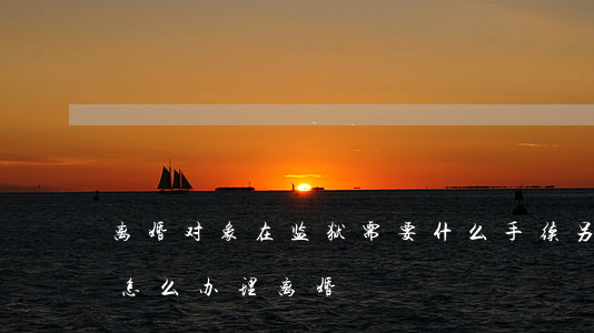 离婚对象在监狱需要什么手续(另一半在监狱怎么办理离婚)