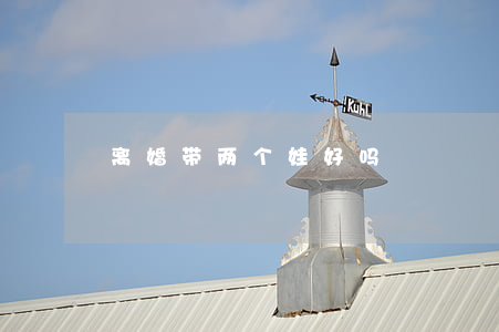 离婚带两个娃好吗