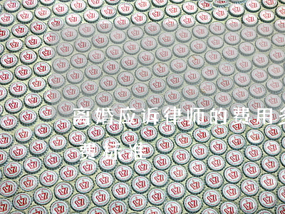 离婚应诉律师的费用多少(离婚诉讼案律师收费标准)