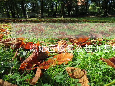离婚应该怎么起诉(怎样起诉离婚)