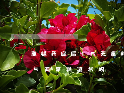 离婚开庭后15天拿判决书吗(离婚开庭后15天拿判决书吗)