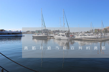 离婚开庭当庭宣判吗(离婚案当庭宣判吗)