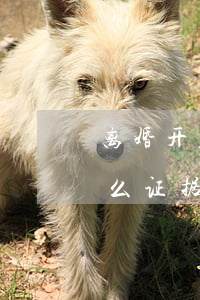 离婚开庭没证据能提出吗(起诉离婚开庭我什么证据都拿不出来怎么办)
