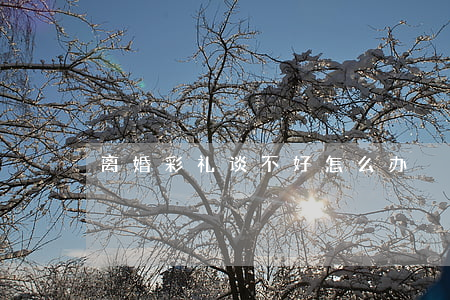 离婚彩礼谈不好怎么办