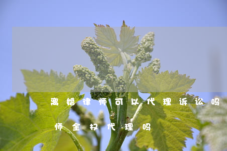 离婚律师可以代理诉讼吗(起诉离婚可以找律师全权代理吗)