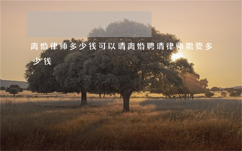 离婚律师多少钱可以请(离婚聘请律师需要多少钱)