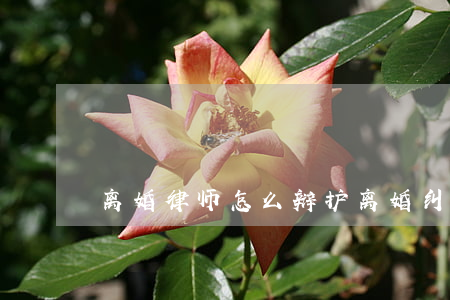 离婚律师怎么辩护(离婚纠纷的律师)
