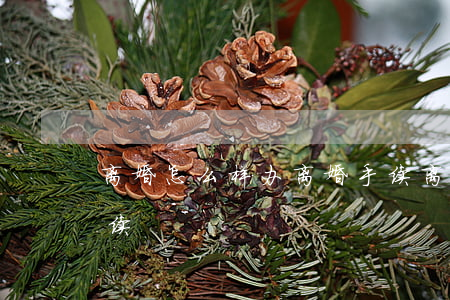 离婚怎么样办离婚手续(离婚怎么样办离婚手续)