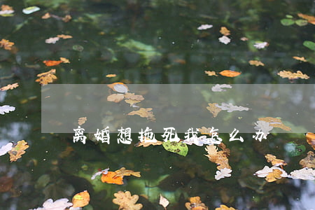 离婚想拖死我怎么办