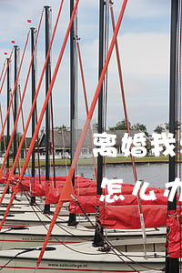 离婚我要请律师(我要咨询律师我要申请离婚怎么办找谁)