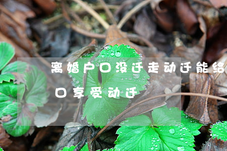 离婚户口没迁走动迁能给补偿吗(离婚不迁户口享受动迁)