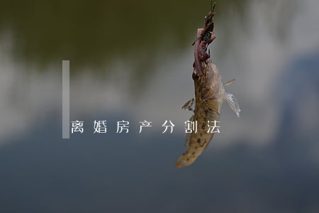 离婚房产分割法