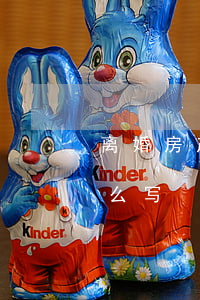 离婚房产起诉请求怎么写(离婚申请诉讼书怎么写)