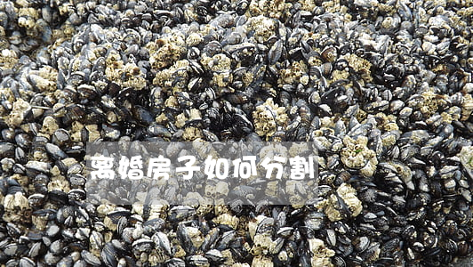 离婚房子如何分割