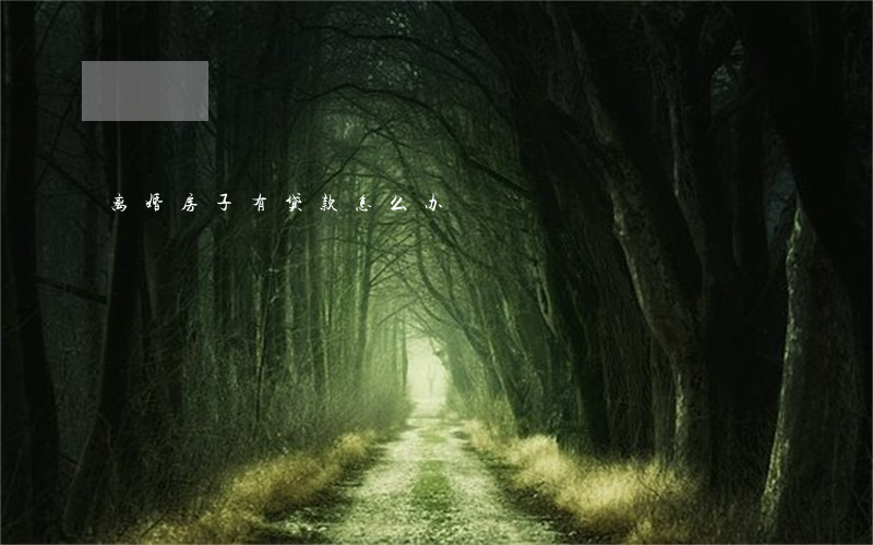 离婚房子有贷款怎么办