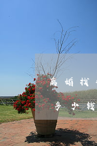 离婚找律师一次一付钱吗(咨询离婚律师一次多少钱)