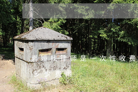 离婚找律师是一次性收费吗(离婚找律师需要多少费用)