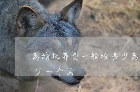 离婚抚养费一般给多少(离婚抚养费一般给多少一个月)