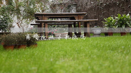 离婚抢孩子犯法吗