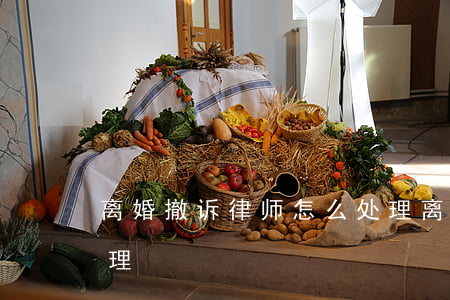 离婚撤诉律师怎么处理(离婚撤诉律师怎么处理)