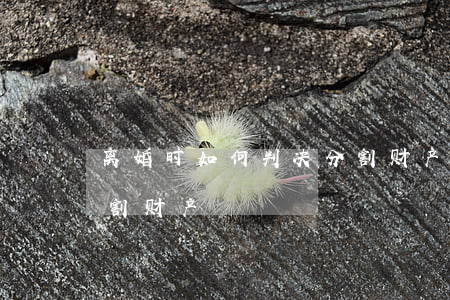 离婚时如何判决分割财产(离婚时如何判决分割财产)