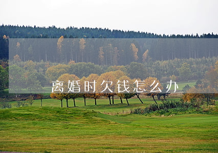 离婚时欠钱怎么办