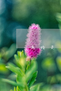 离婚是否可以异地办理