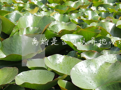 离婚是否可以异地办理(离婚可以异地办理吗)
