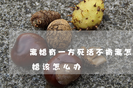 离婚有一方死活不肯离怎么办(有一方不肯离婚该怎么办)