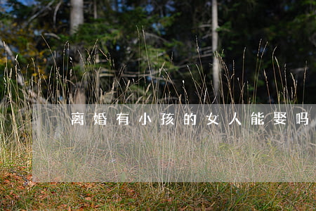 离婚有小孩的女人能娶吗