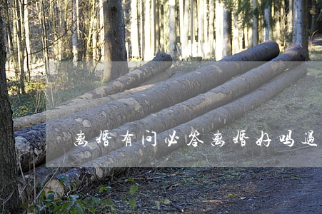 离婚有问必答(离婚好吗?过来人解答)