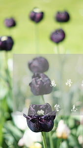 离婚期间被骚扰如何办(离婚后被对方骚扰报警怎么处理?)