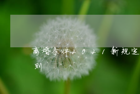 离婚条件2021新规定(2021离婚新规则)