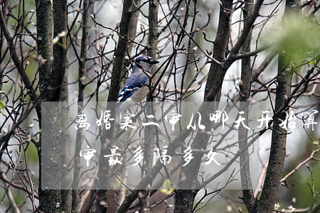 离婚案二审从哪天开始算(离婚诉讼一审和二审最多隔多久)