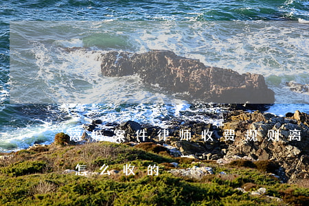 离婚案件律师收费规则(离婚律师收费一般是怎么收的)